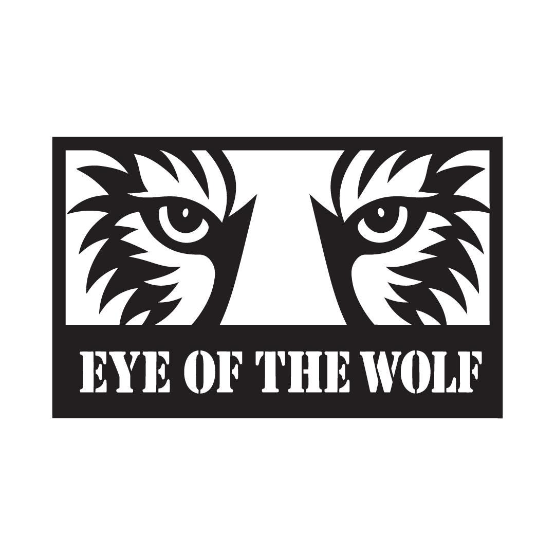 Black Acrylic Animal Eyes Wall Art – Tiger, Lion, Wolf, Cheetah