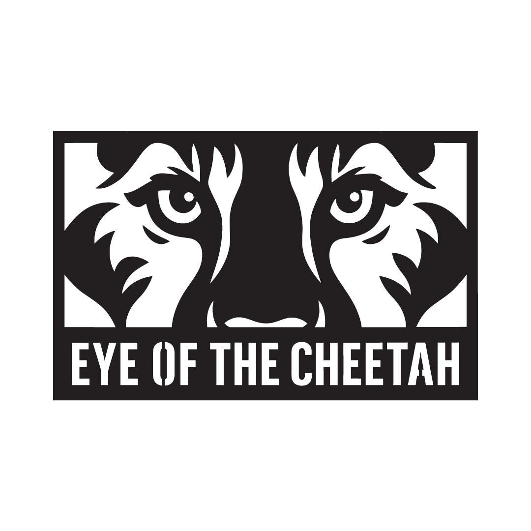 Black Acrylic Animal Eyes Wall Art – Tiger, Lion, Wolf, Cheetah