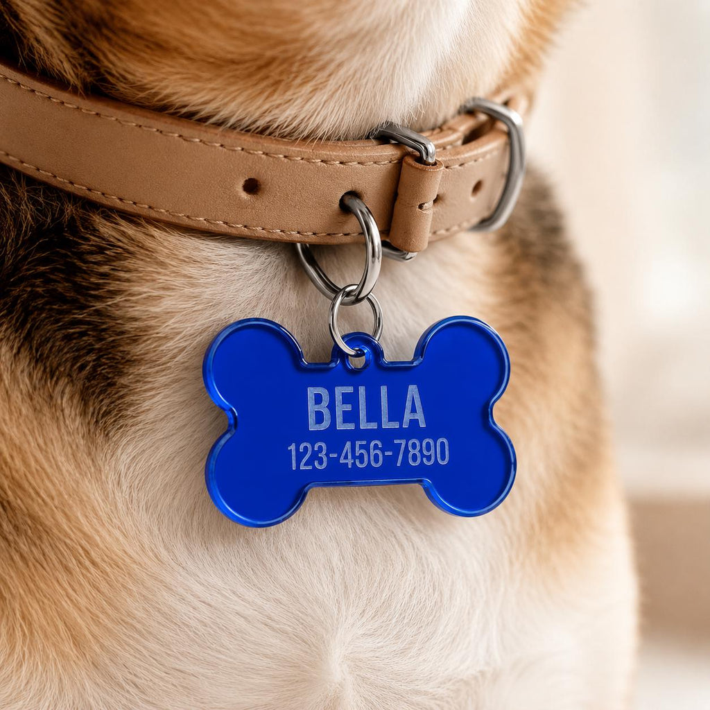 Personalized Acrylic Pet ID Tag | Custom Dog Tag | Dog Collar Name Tag | Cat ID Tag | Lightweight Pet Tag | Custom Pet Name Charm