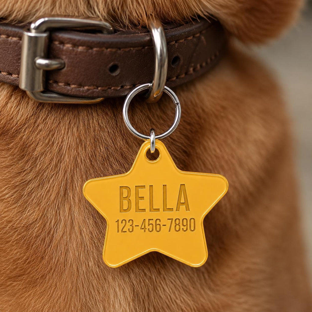 Personalized Acrylic Pet ID Tag | Custom Dog Tag | Dog Collar Name Tag | Cat ID Tag | Lightweight Pet Tag | Custom Pet Name Charm