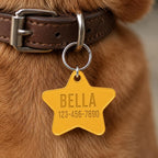 Personalized Acrylic Pet ID Tag | Custom Dog Tag | Dog Collar Name Tag | Cat ID Tag | Lightweight Pet Tag | Custom Pet Name Charm