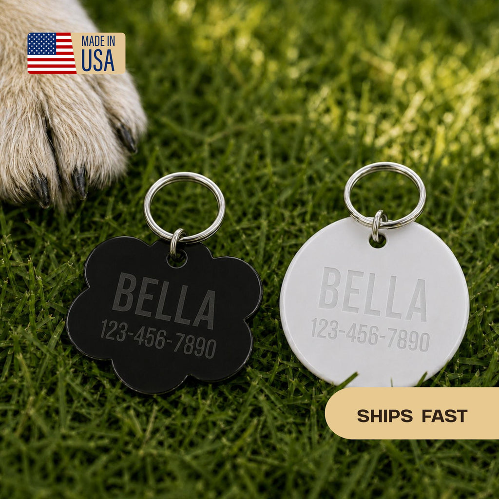 Personalized Acrylic Pet ID Tag | Custom Dog Tag | Dog Collar Name Tag | Cat ID Tag | Lightweight Pet Tag | Custom Pet Name Charm