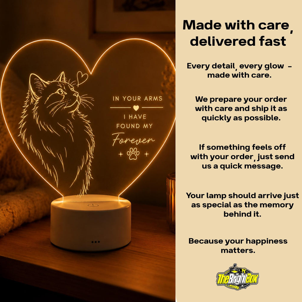 Cat Lover LED Light: In Your Arms I Found My Forever