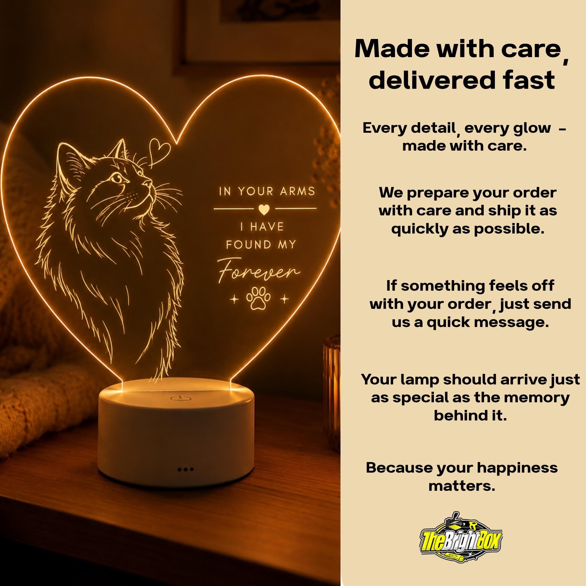 Cat Lover LED Light: In Your Arms I Found My Forever