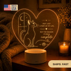 Cat Lover LED Light: In Your Arms I Found My Forever