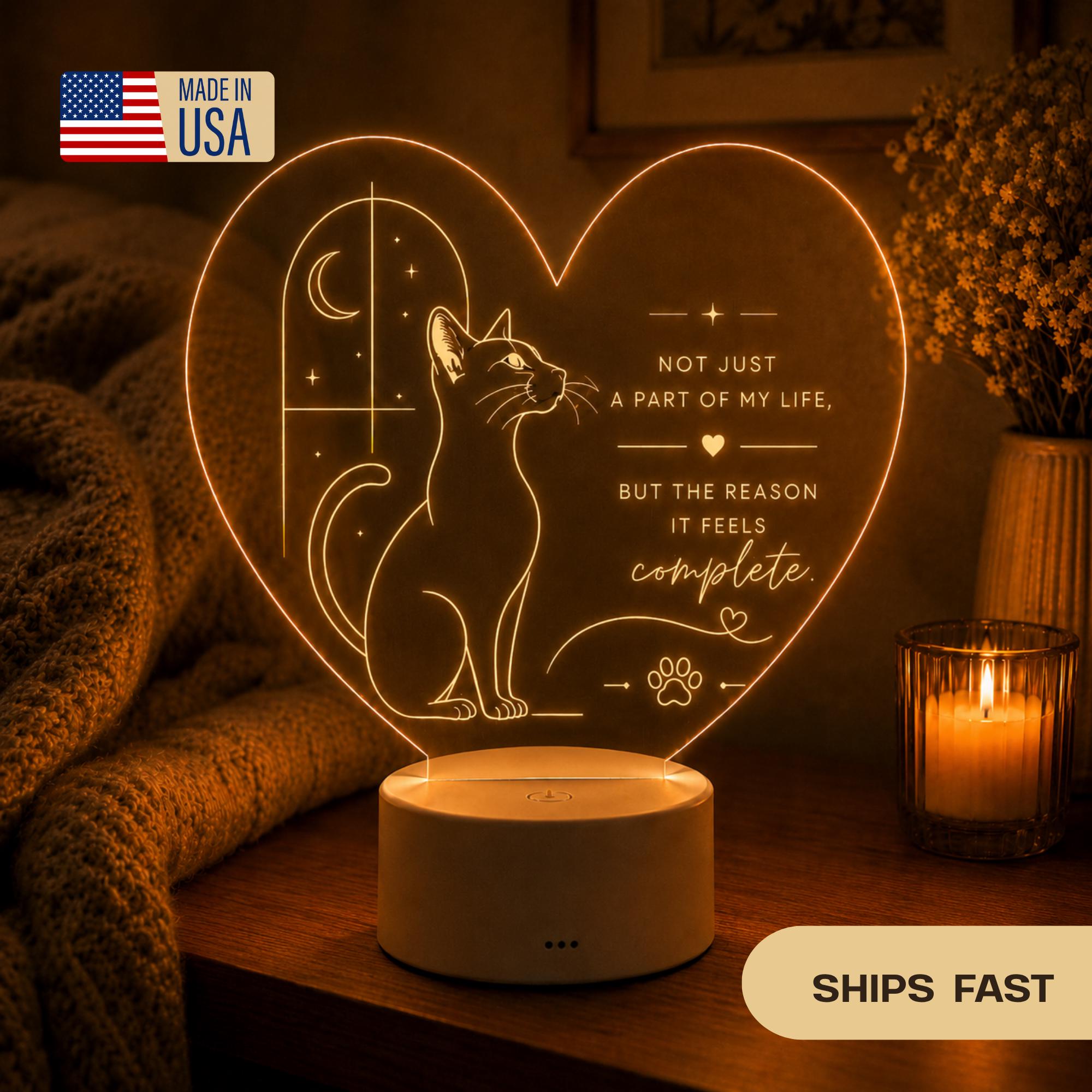 Cat Lover LED Light: In Your Arms I Found My Forever
