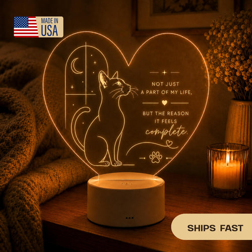 Cat Lover LED Light: In Your Arms I Found My Forever