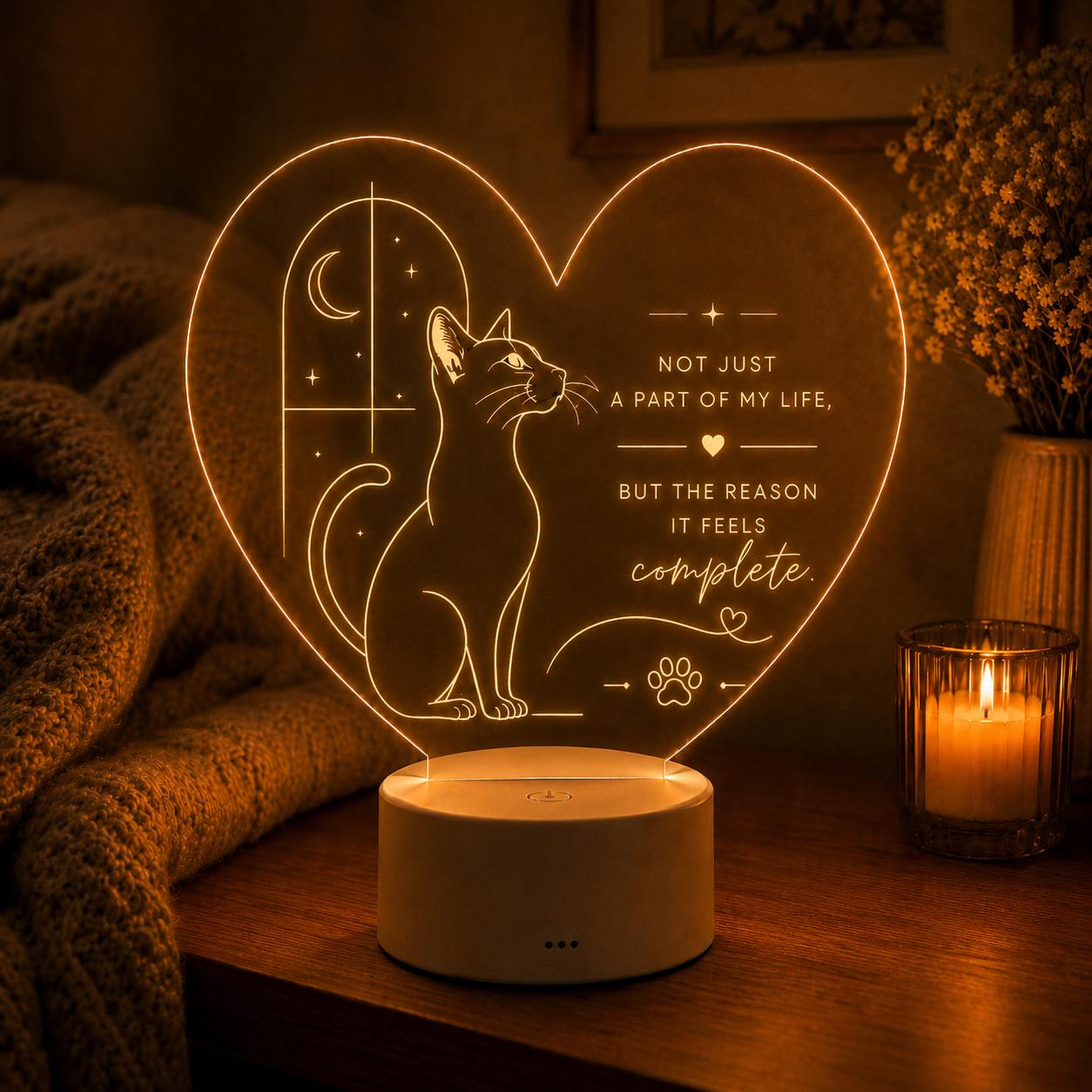 Cat Lover LED Light: In Your Arms I Found My Forever