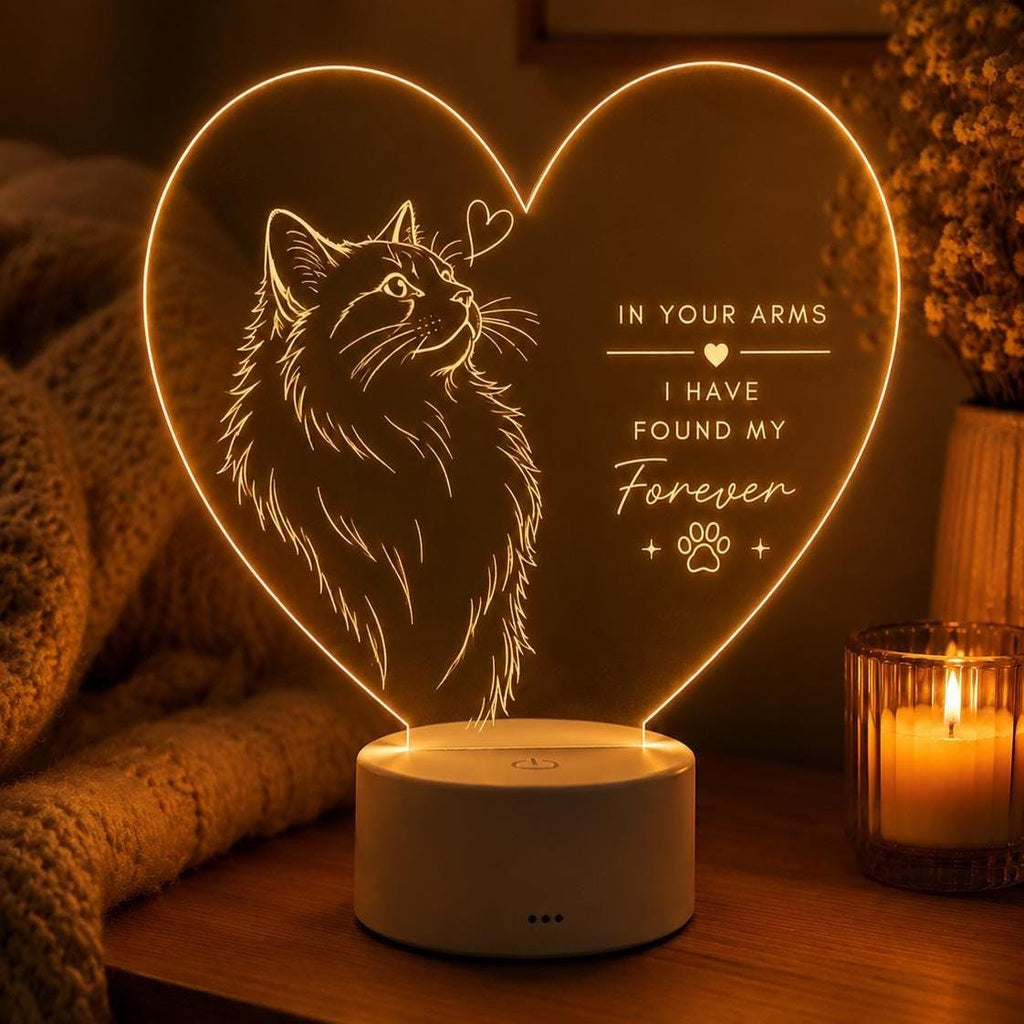 Cat Lover LED Light: In Your Arms I Found My Forever