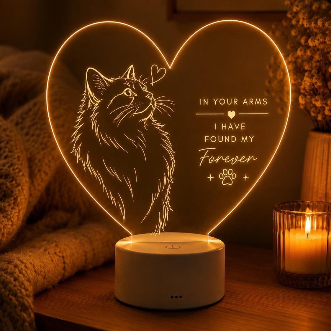 Cat Lover LED Light: In Your Arms I Found My Forever