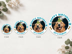 Custom Dog Birthday Sticker, Personalized Pet Party Sticker, Happy Birthday Dog Label, Let’s Pawty Sticker, Dog Party Favor, Dog Mom,