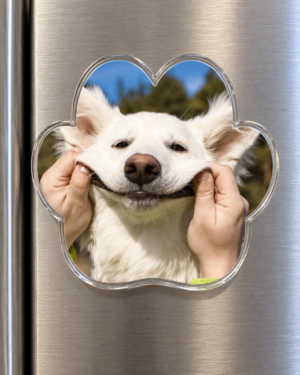 Custom Pet Photo Magnet, Personalized Dog Magnet, Paw Shaped Fridge Magnet, Custom Pet Picture Gift, Dog Mom Gift, Pet Memorial Gift