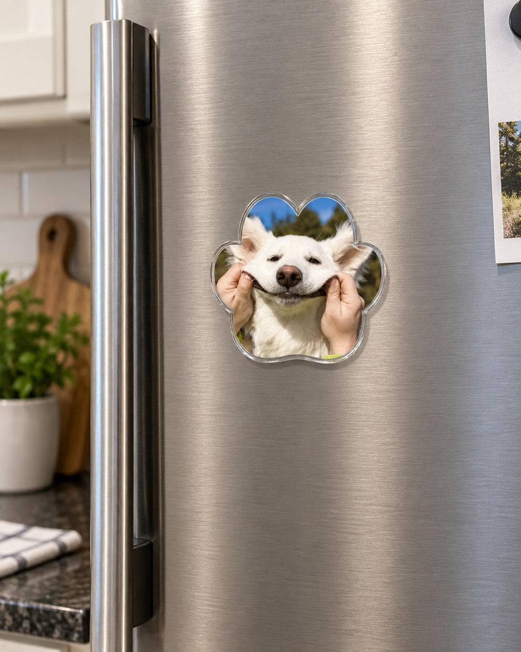 Custom Pet Photo Magnet, Personalized Dog Magnet, Paw Shaped Fridge Magnet, Custom Pet Picture Gift, Dog Mom Gift, Pet Memorial Gift