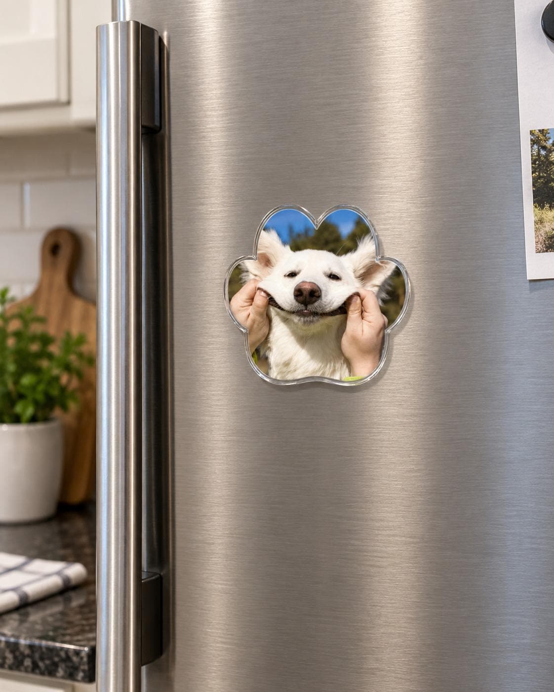 Custom Pet Photo Magnet, Personalized Dog Magnet, Paw Shaped Fridge Magnet, Custom Pet Picture Gift, Dog Mom Gift, Pet Memorial Gift