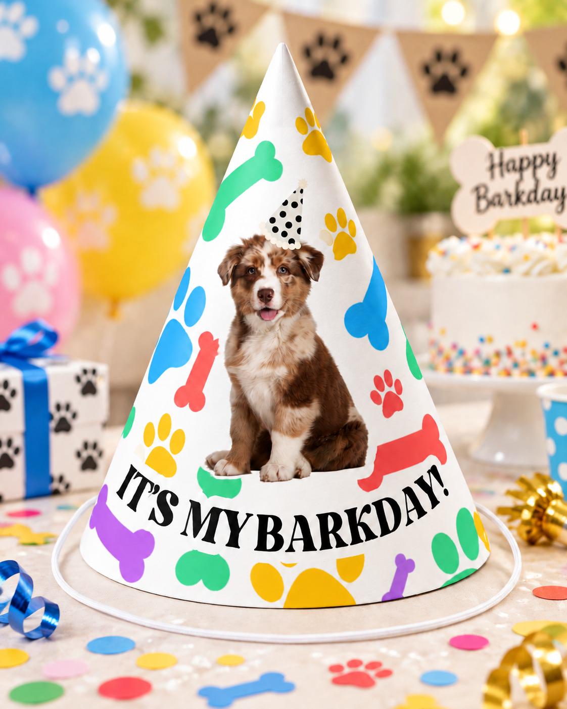 Custom Dog Birthday Party Hats, Personalized Barkday Hat with Pet Photo, Puppy Birthday Party Hat, Dog Theme Birthday Decor