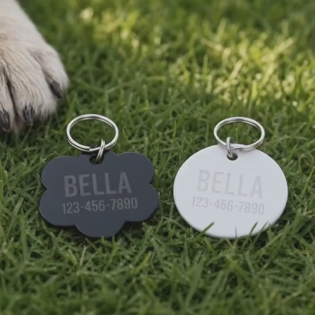 Personalized Acrylic Pet ID Tag | Custom Dog Tag | Dog Collar Name Tag | Cat ID Tag | Lightweight Pet Tag | Custom Pet Name Charm