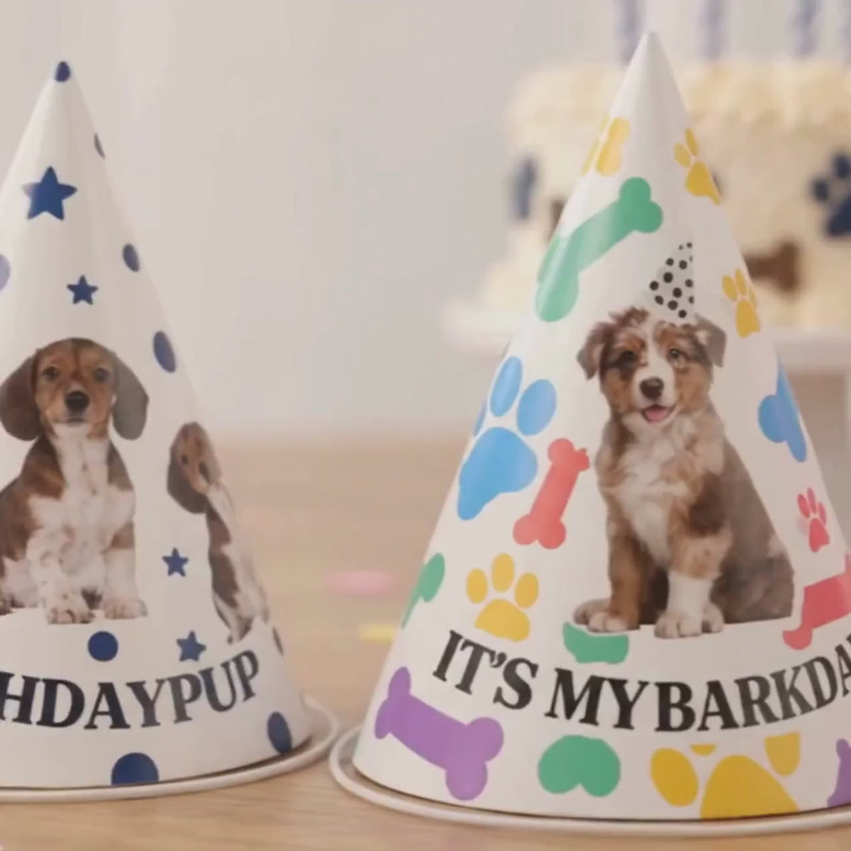 Custom Dog Birthday Party Hats, Personalized Barkday Hat with Pet Photo, Puppy Birthday Party Hat, Dog Theme Birthday Decor