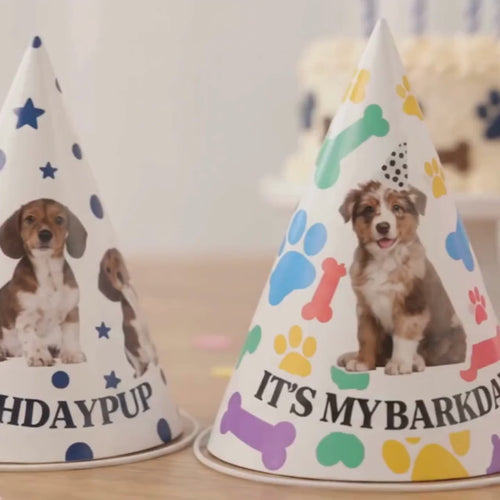 Custom Dog Birthday Party Hats, Personalized Barkday Hat with Pet Photo, Puppy Birthday Party Hat, Dog Theme Birthday Decor