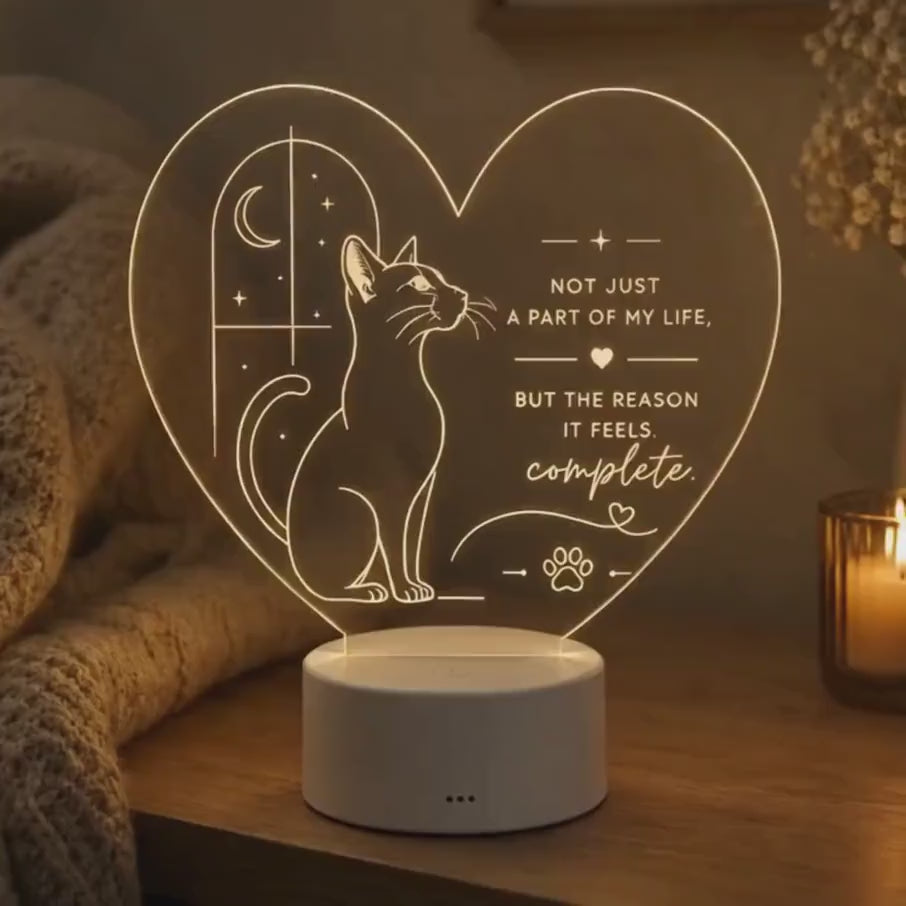 Cat Lover LED Light: In Your Arms I Found My Forever